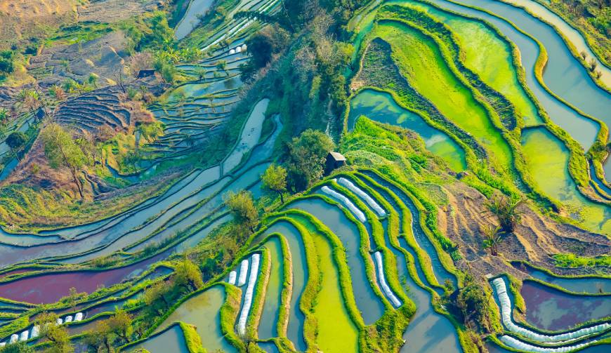 走进三穗县TVC拍摄：解锁本地化场景与创意镜头的完美融合